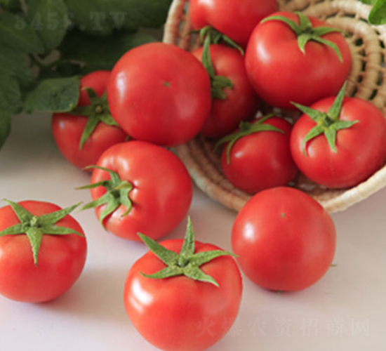 DLR-����707-���ѷN��-������