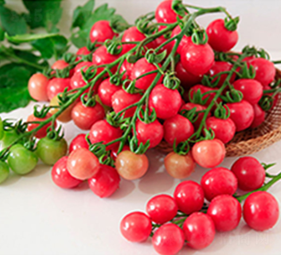 DLR-��������-���ѷN��-������