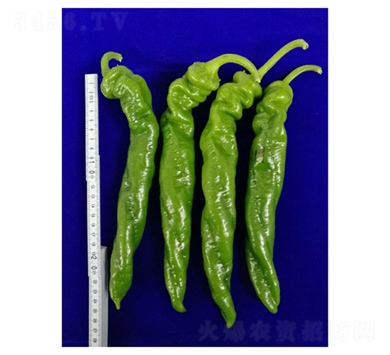 DLR-����179-�����N��-������