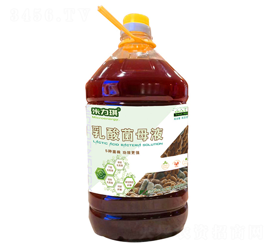 �����ĸҺ-������-�����_(d��)����