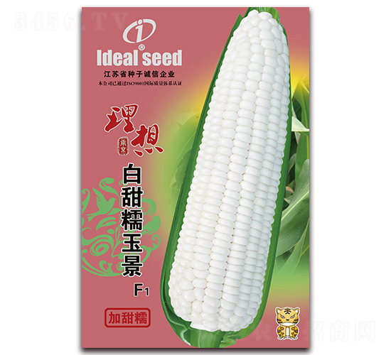 ����Ŵ��-Ŵ���׷N��-�����r�I(y��)