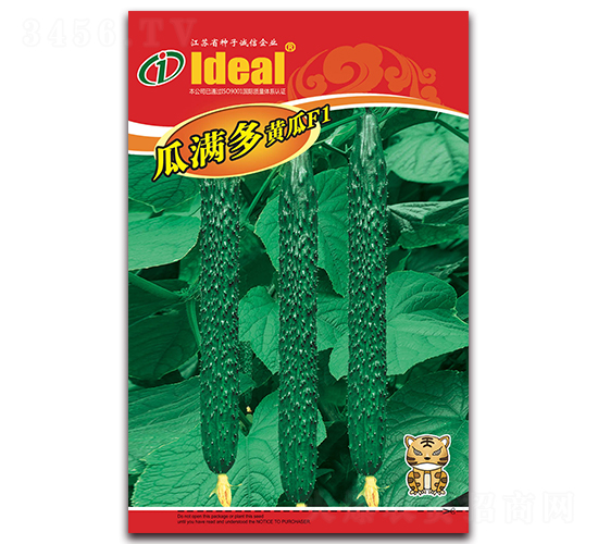 �ϝM��-�S�ϷN��-�����r(n��ng)�I(y��)