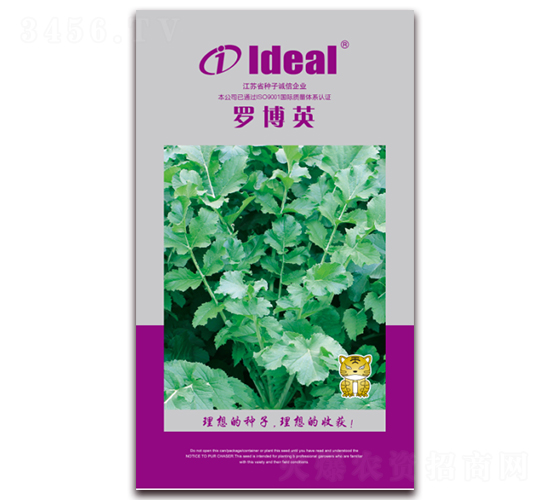 ���_��Ӣ-�}���N��-�����r(n��ng)�I(y��)