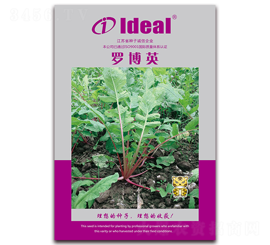 �_��Ӣ-�}���N��-�����r(n��ng)�I(y��)