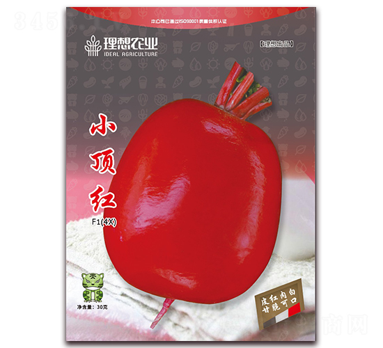 С피t-�}���N��-�����r(n��ng)�I(y��)