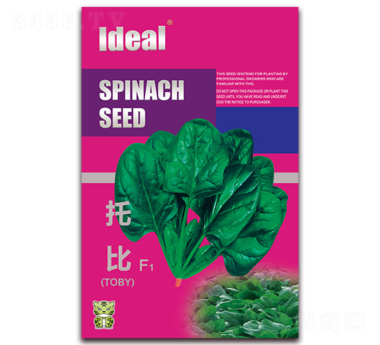 �б�-���˷N��-�����r�I(y��)