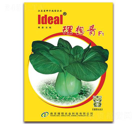 ������-С�ײ˷N��-�����r(n��ng)�I(y��)