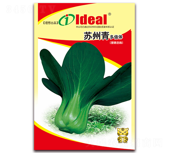 �౶�w�K����-С�ײ˷N��-�����r�I(y��)