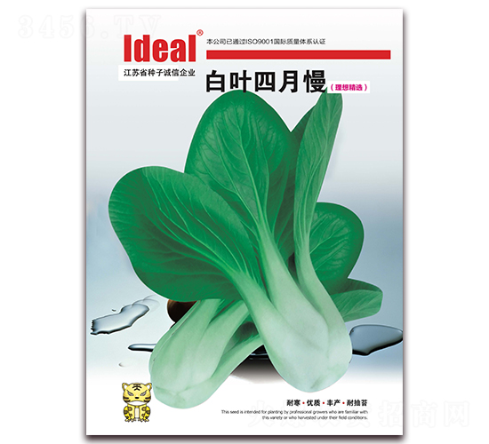 ���~������-С�ײ˷N��-�����r(n��ng)�I(y��)