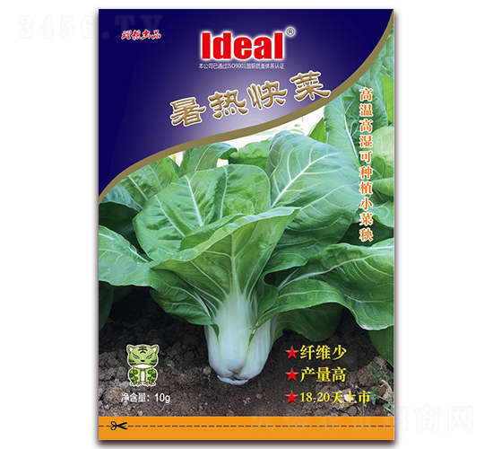 �����-С�ײ˷N��-�����r(n��ng)�I(y��)