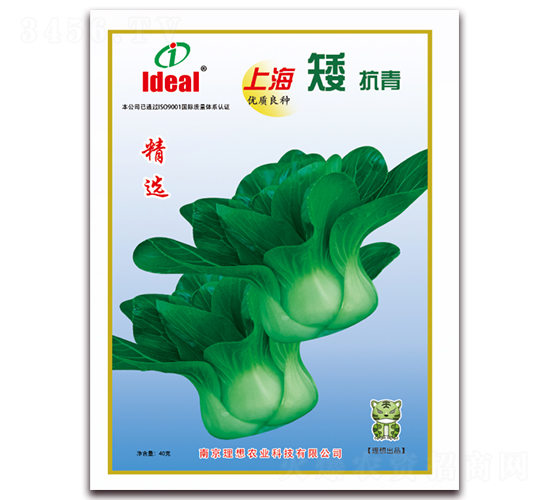 �Ϻ�������-С�ײ˷N��-�����r(n��ng)�I(y��)