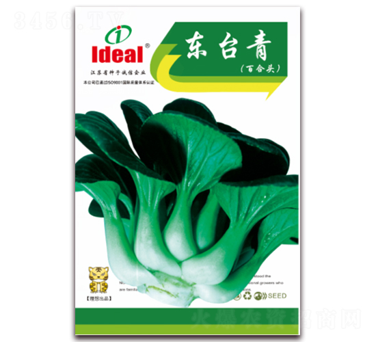 �|�_��-С�ײ˷N��-�����r(n��ng)�I(y��)