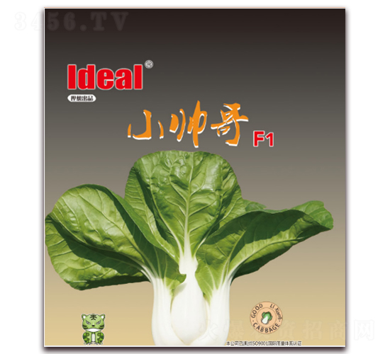 С����-С�ײ˷N��-�����r(n��ng)�I(y��)