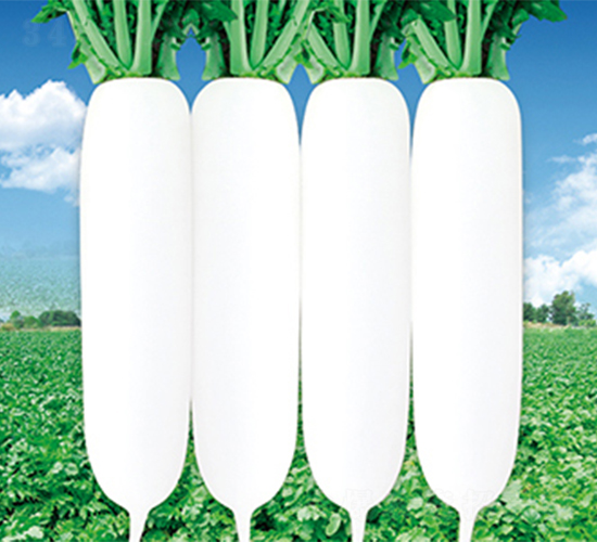 ���r(n��ng)����-�}���N��-���߷N��