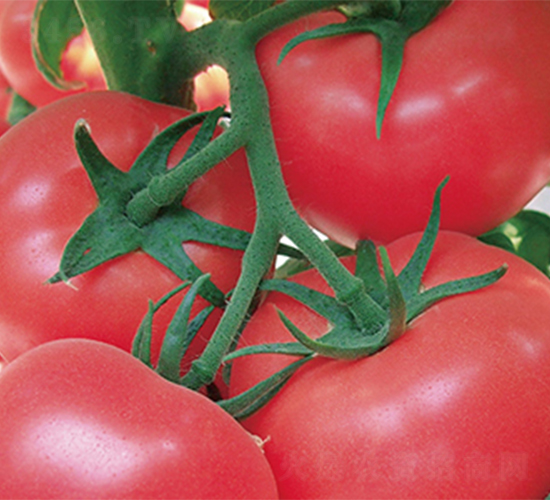 ���r(n��ng)1̖-���ѷN��-���߷N��