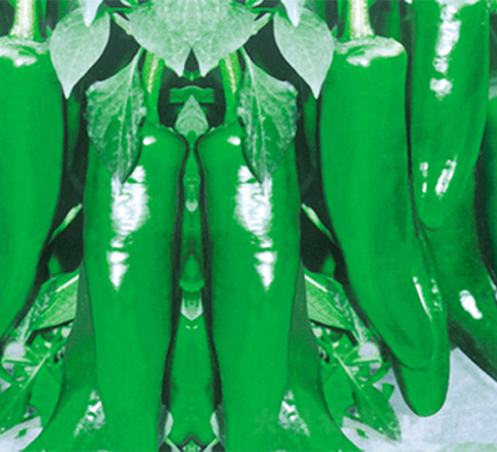 ����4̖-�����N��-���߷N��