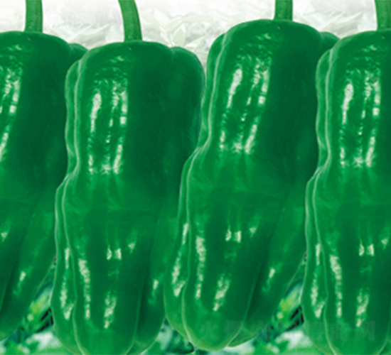 �K��5̖��ʿ��-�����N��-���߷N��