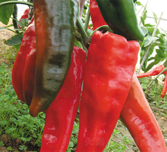 �K��14-�����N��-���߷N��