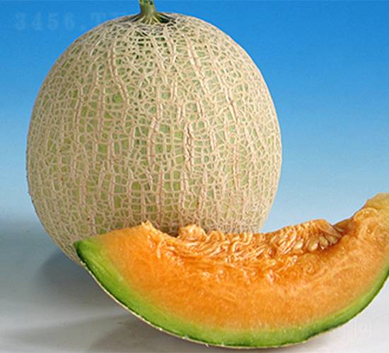 �t����-��ϷN��-���߷N��