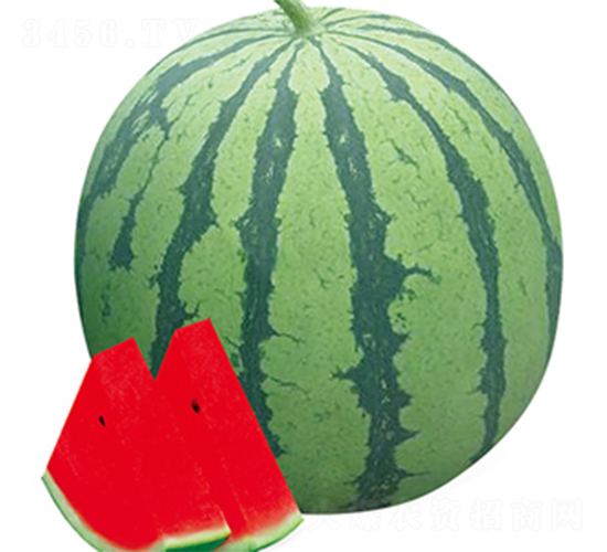 ���84-24-���ϷN��-���߷N��