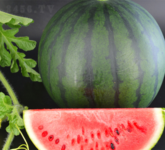 �K��(chu��ng)4̖-���ϷN��-���߷N��