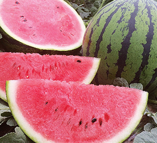 ��(qi��ng)��711-���ϷN��-���߷N��