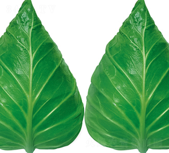 �K��55-���{�N��-���߷N��