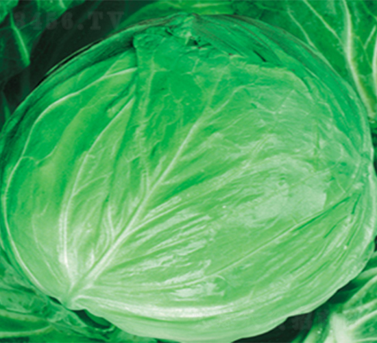 ����-���{�N��-���߷N��