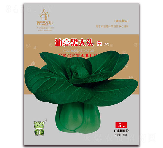 �����ڴ��^-�๣�˷N��-�����r(n��ng)�I(y��)