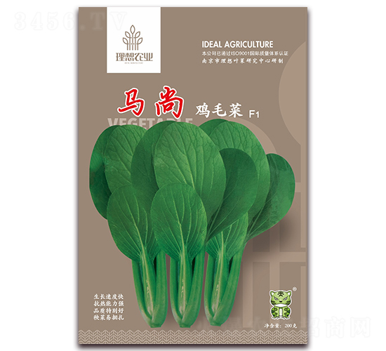 �R���uë��-�๣�˷N��-�����r(n��ng)�I(y��)