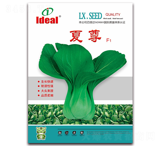 ����-�๣�˷N��-�����r(n��ng)�I(y��)