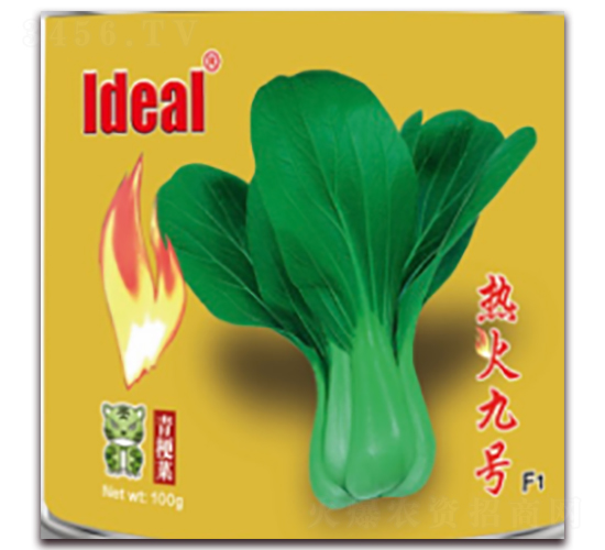 ����̖-�๣�˷N��-�����r(n��ng)�I(y��)