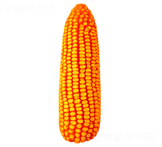 �F��818-���׷N��-�F�зN�I(y��)