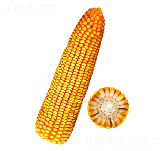 �F��20̖(h��o)-���׷N��-�F�зN�I(y��)