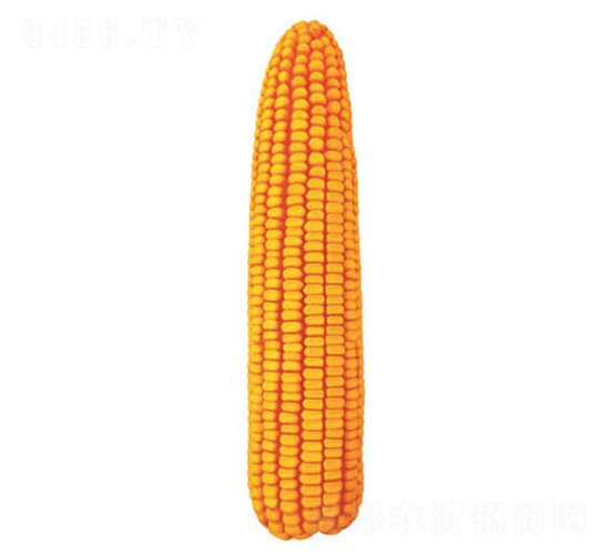 �F��15̖-���׷N��-�F�зN�I(y��)