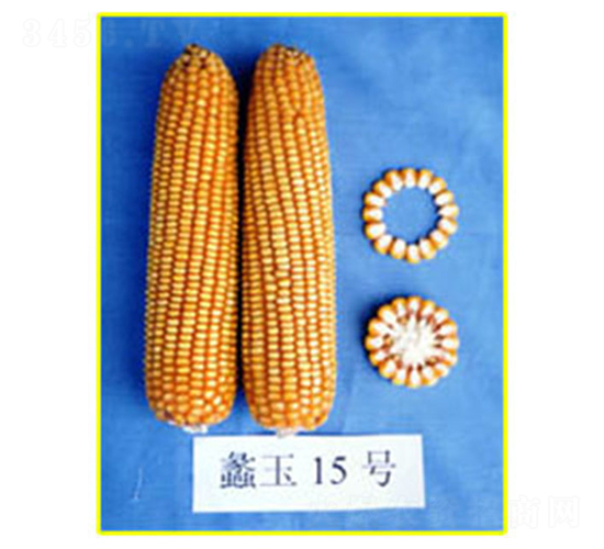 ���15̖(h��o)-���׷N��-���