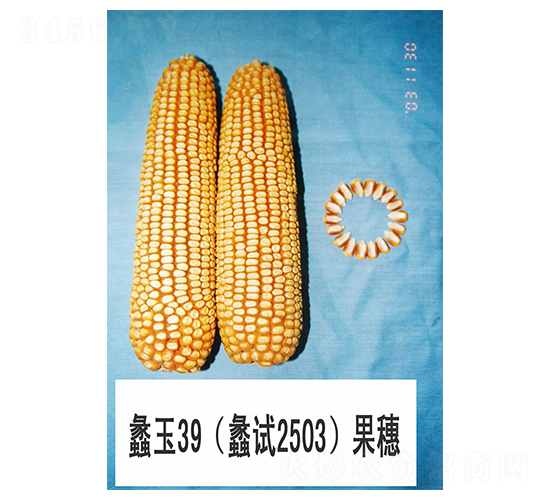 ���39-���׷N��-���