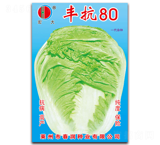 �S��80-�ײ˷N��-�����N�I(y��)