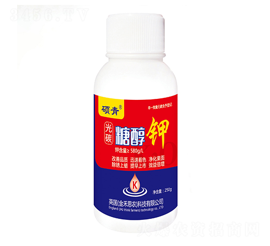 ��̼�Ǵ��-�T��-�������