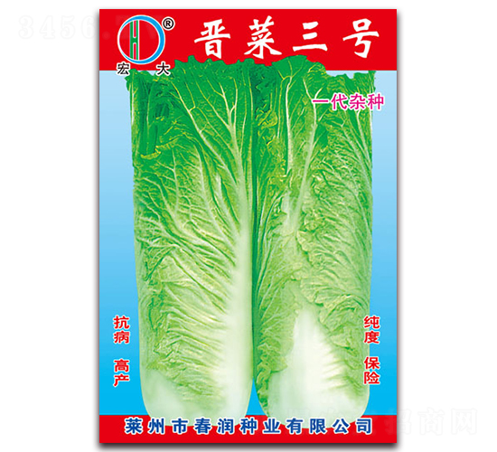 �x����̖-�ײ˷N��-�����N�I(y��)