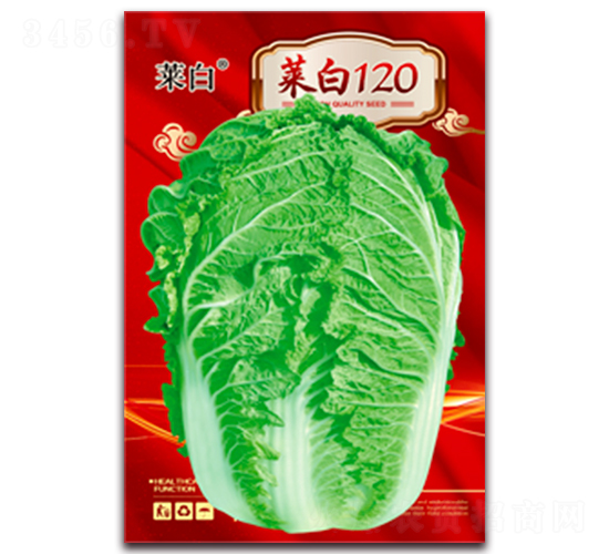 �˰�120-�ײ˷N��-�����N�I(y��)