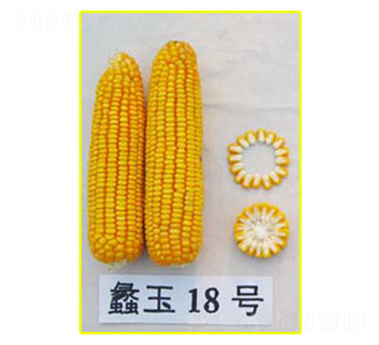 ���18̖-���׷N��-���