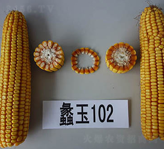 ���102̖-���׷N��-���