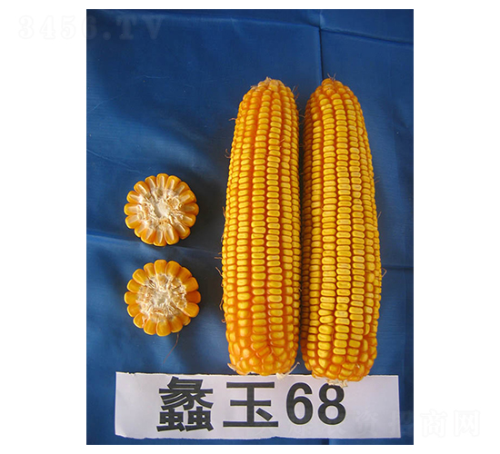 ���68-���׷N��-���