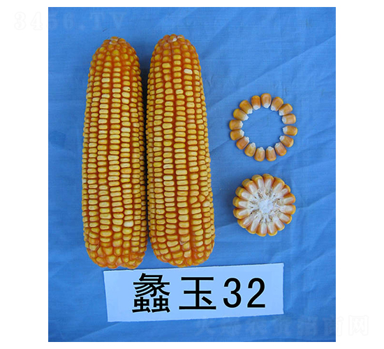 ���32-���׷N��-���