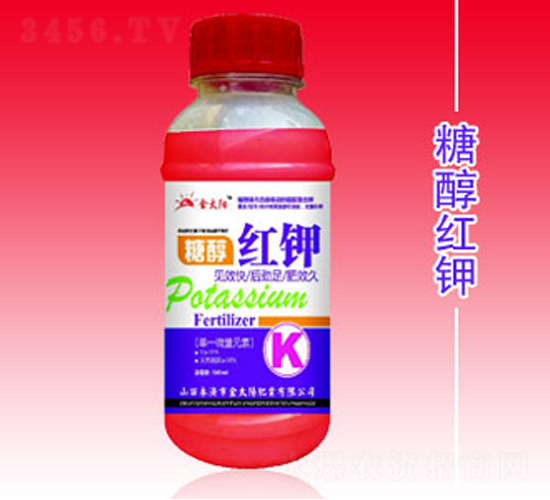 �Ǵ��t�-�������