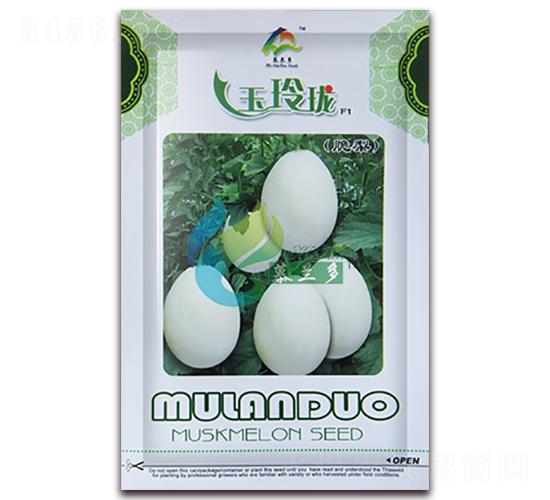 ���ᭇ-��ϷN��-Ľ�m��