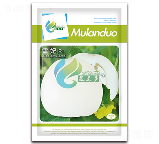 ѩ��-��ϷN��-Ľ�m��