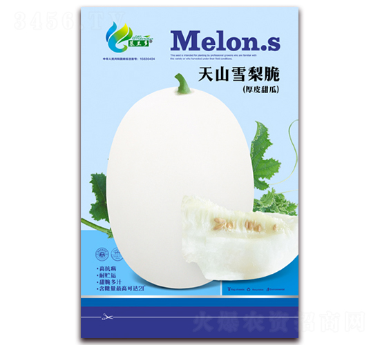 ��ɽѩ���-��ϷN��-Ľ�m��