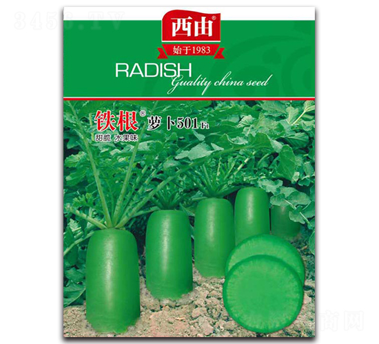 �F���}��501-�}���N��-����